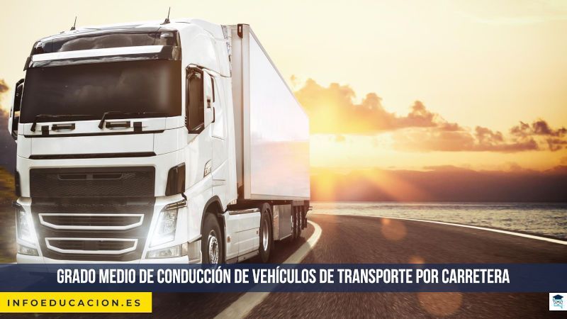 Grado medio de conducción de vehículos de transporte por carretera