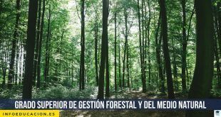Grado Superior de Gestión forestal y del medio natural