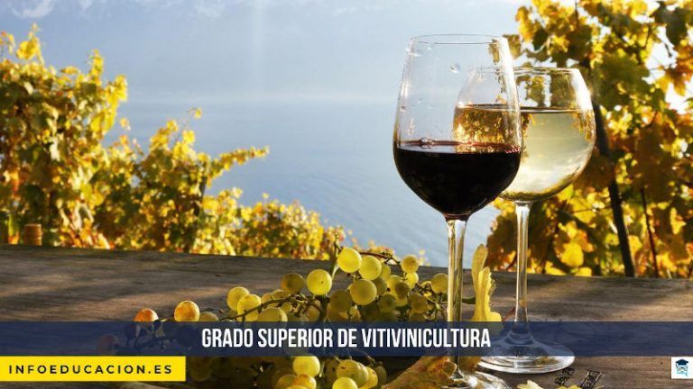 Grado Superior de Vitivinicultura