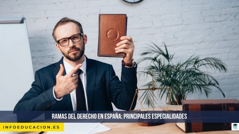 ramas del derecho en España