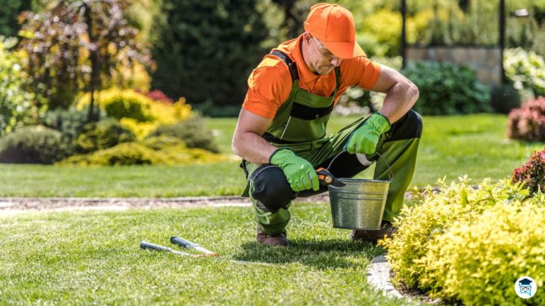 estudiar paisajismo y medio rural