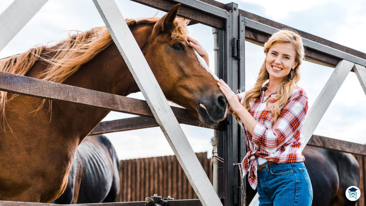 Trabajos relacionados con caballos