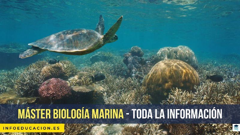 máster biología marina en España