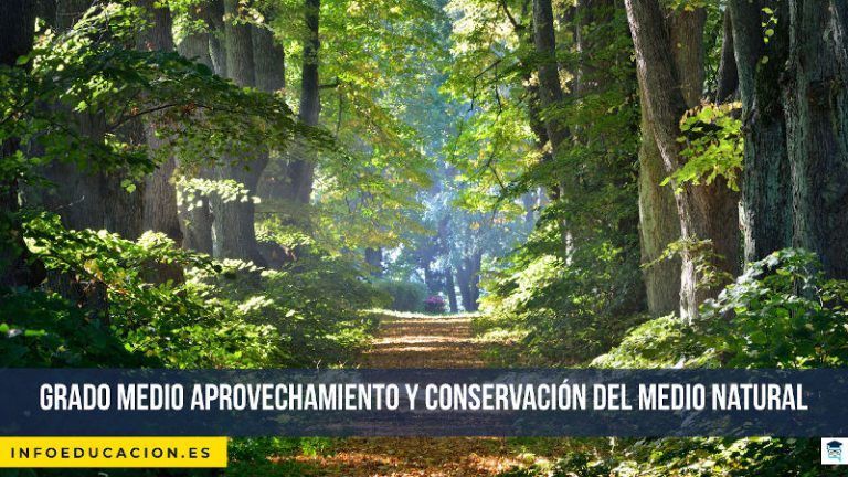 grado medio aprovechamiento y conservación del medio natural