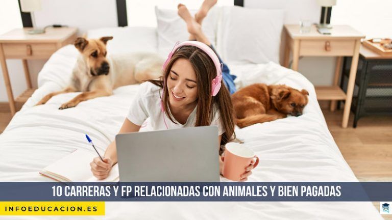 10 Carreras y FP relacionadas con animales y bien pagadas