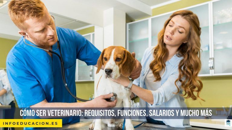 Cómo ser veterinario: requisitos, funciones, salarios y mucho más