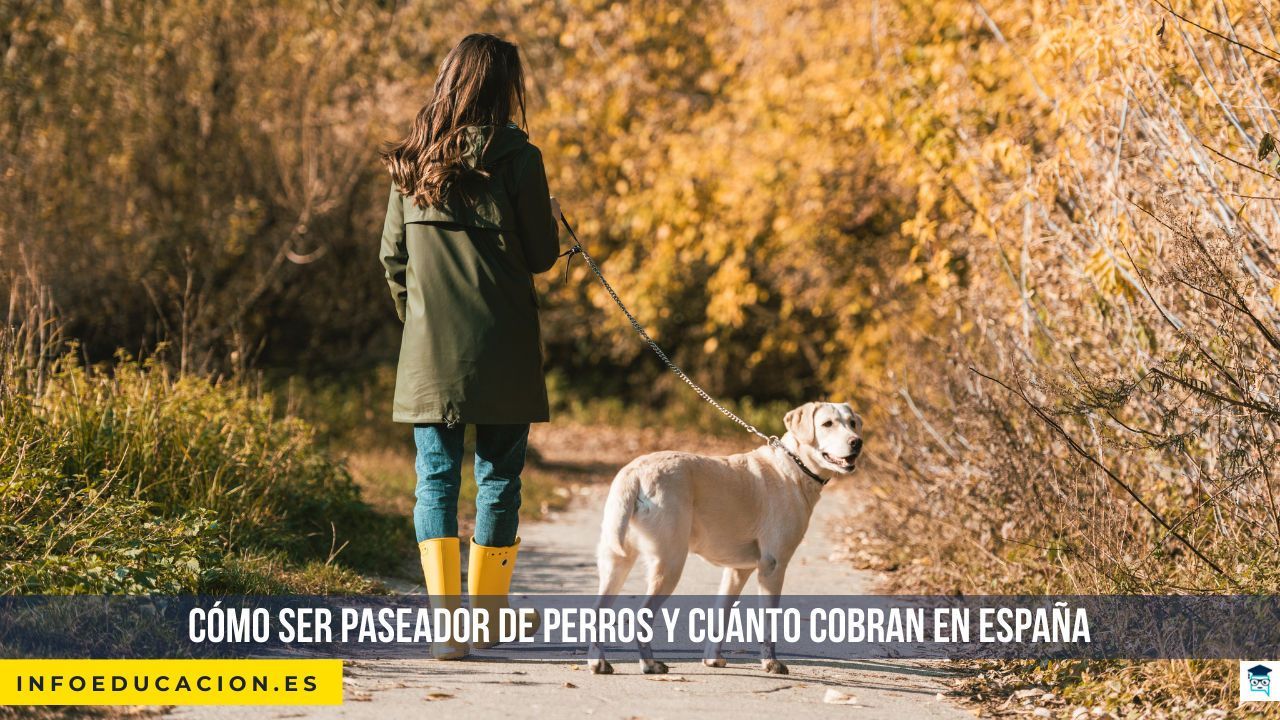 Cómo ser paseador de perros y cuánto cobran en España