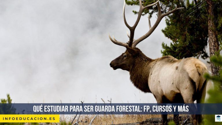 qué estudiar para ser guarda forestal