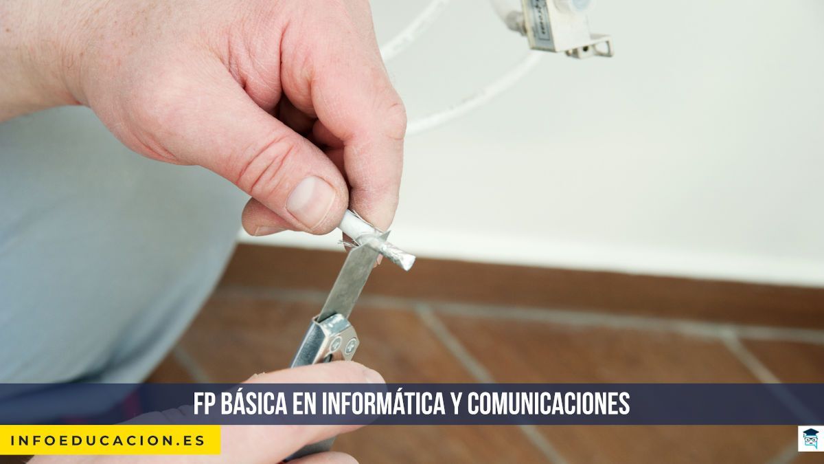FP Básica en informática y comunicaciones