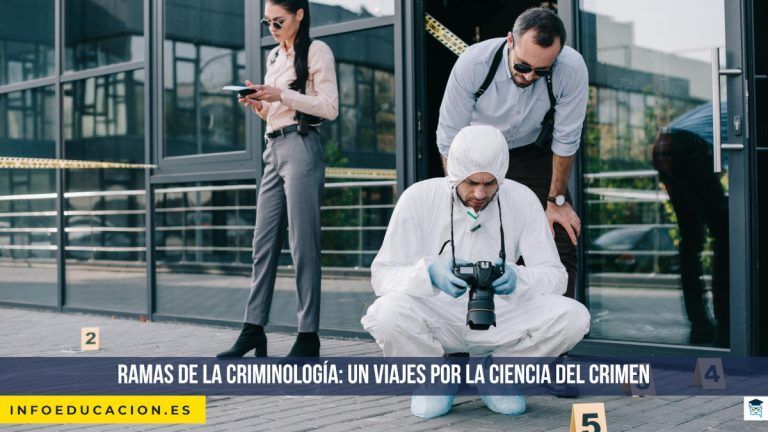 ramas de la criminología