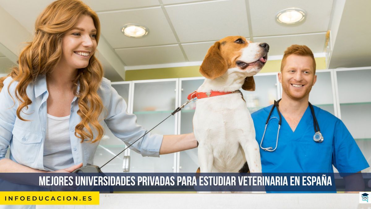 Mejores universidades privadas para estudiar veterinaria en España