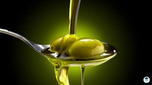 grado medio de aceite de oliva y vinos